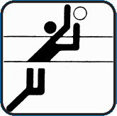 Abteilung Volleyball